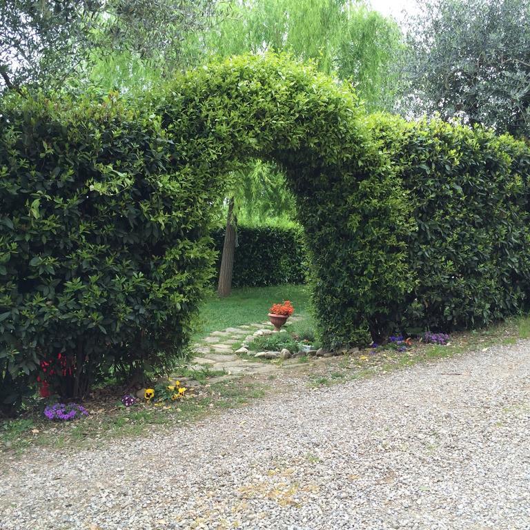 Casina Rosa Lägenhet Certaldo Rum bild